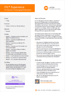 Download Flyer ITIL Experience
