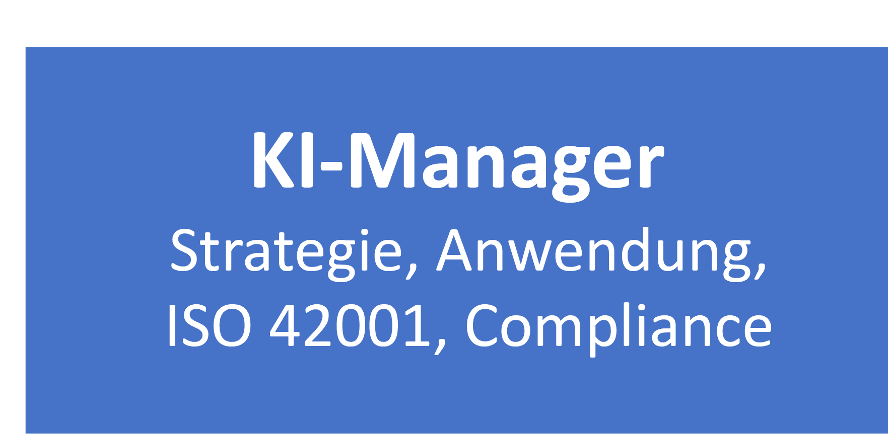 KI-Manager mit Fokus auf Strategie, Anwendung und ISO 42001.